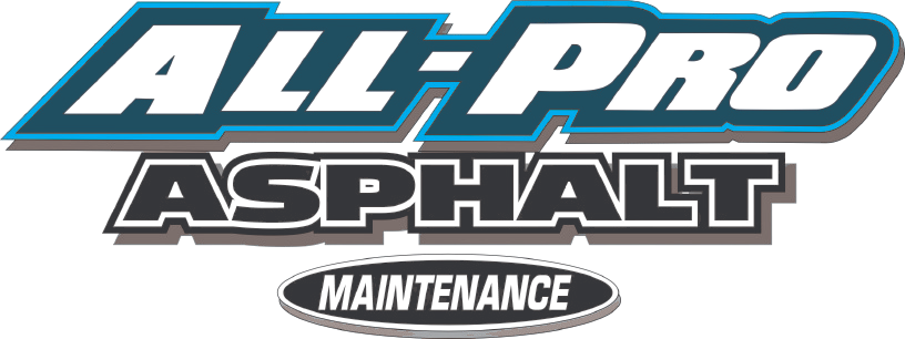 ALL PRO MAINTENACE logo 3 removebg preview 1